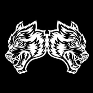 I have dozens of shirts I have not worn or have only worn once.